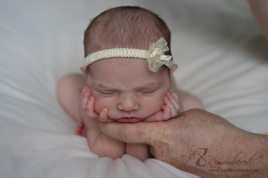 Safety in Newborn Photography by Life Remembered