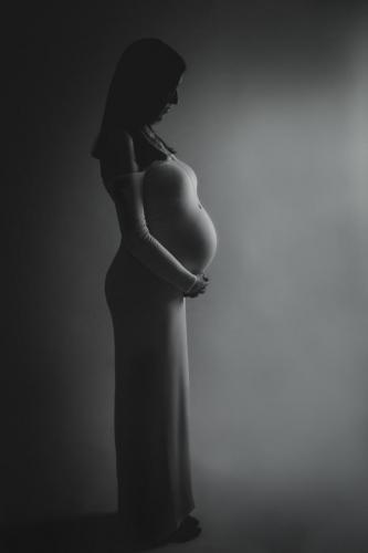 Minneapolis Maternity Photographer Portfolio